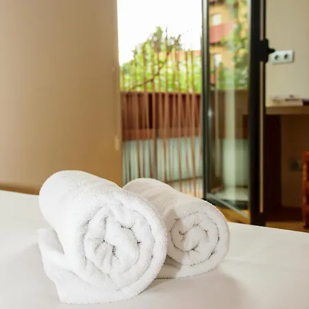 Hotel Estacio (adults Only) Olot